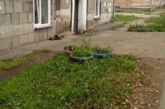 Городская библиотека - филиал №14 им. Н. Гоголя