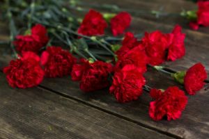 Урок мужества «Марш красных гвоздик»