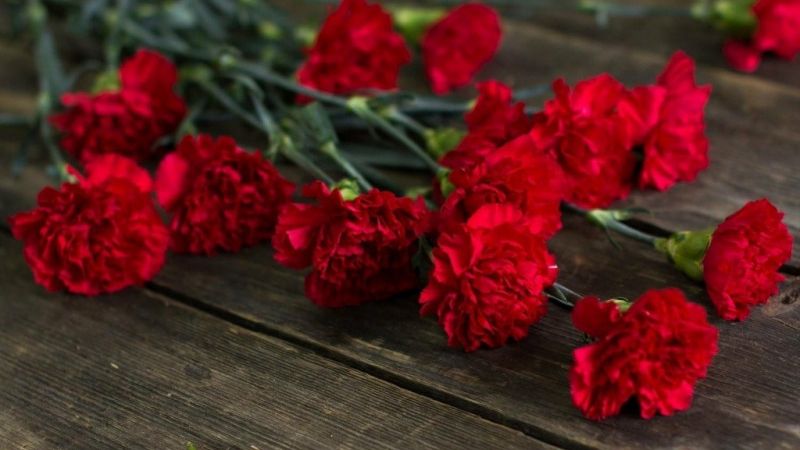 Урок мужества «Марш красных гвоздик»