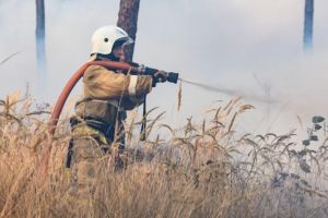 Лекция «Пожарная безопасность в лесах»