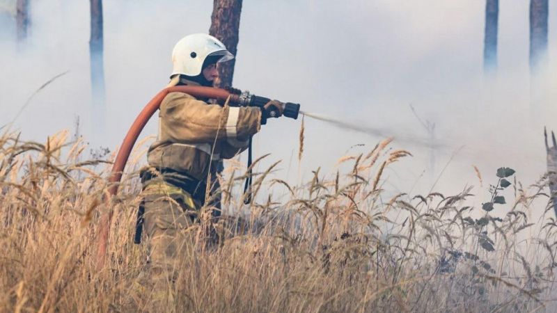 Лекция «Пожарная безопасность в лесах»