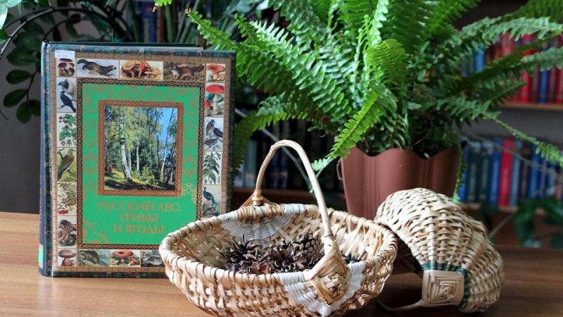 Семейное путешествие «С лукошком в путь дорожку»