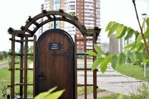 Лекторий под открытым небом «Эколайф»